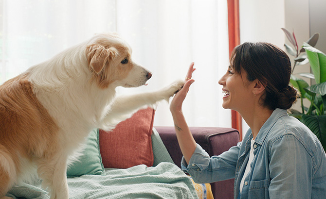 une femme profite des bienfaits des animaux